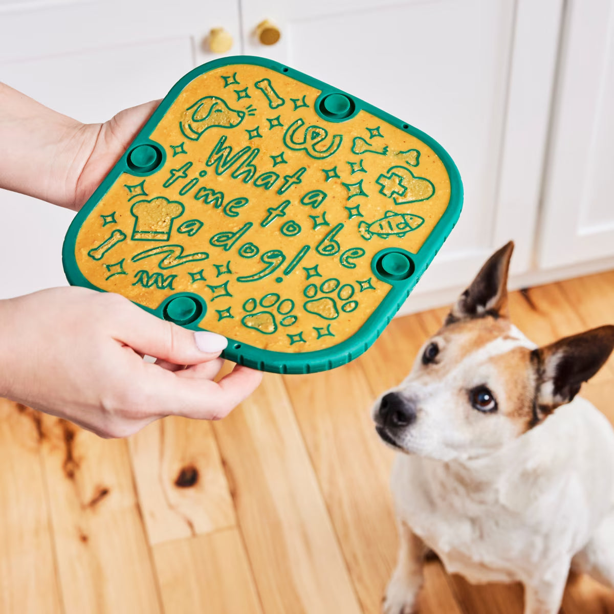 Woof Flipmat Interactive Treat Dispensing Dog Toy