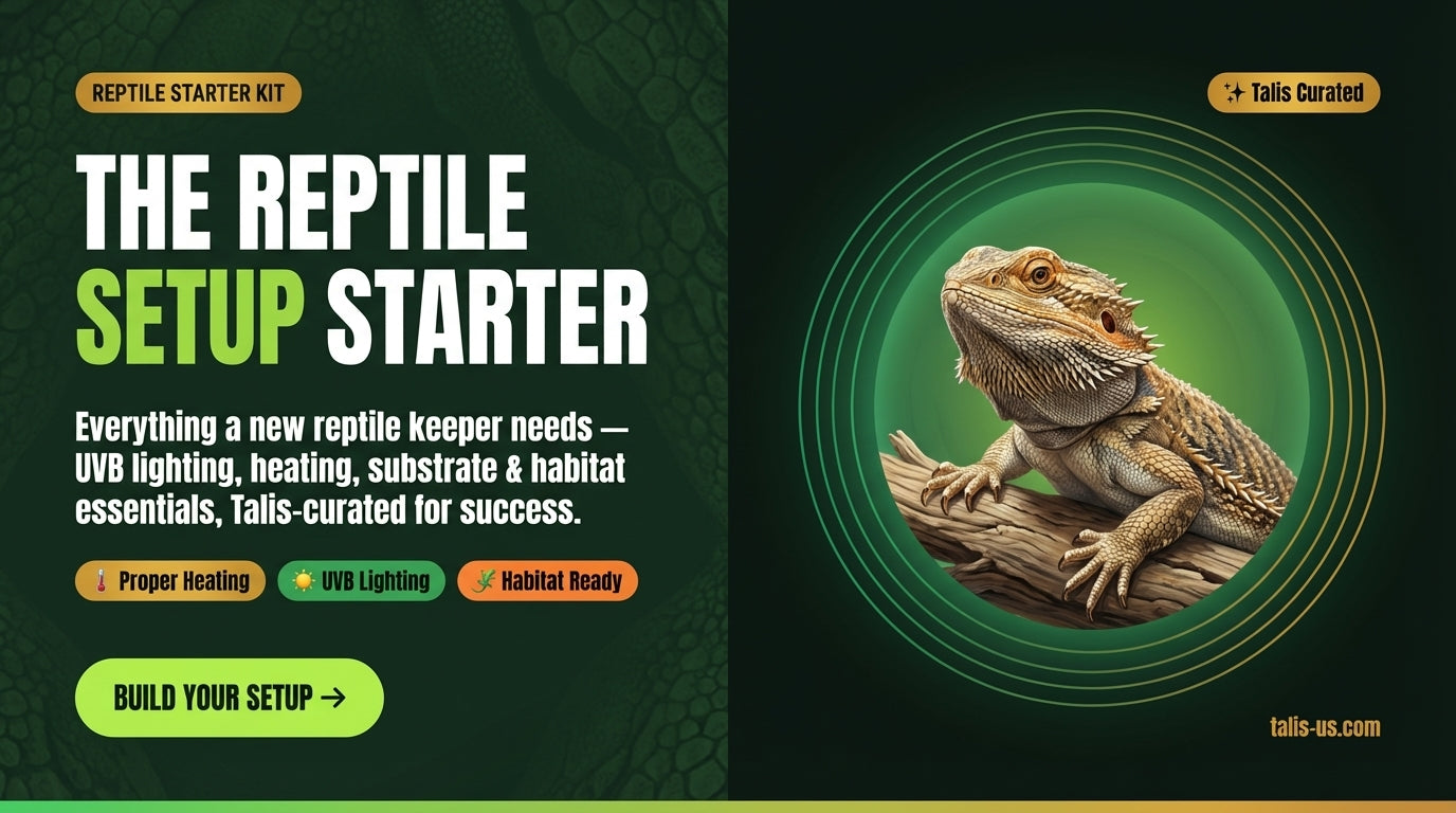 Bearded dragon resting on wood branch against green background promoting reptile setup essentials kit