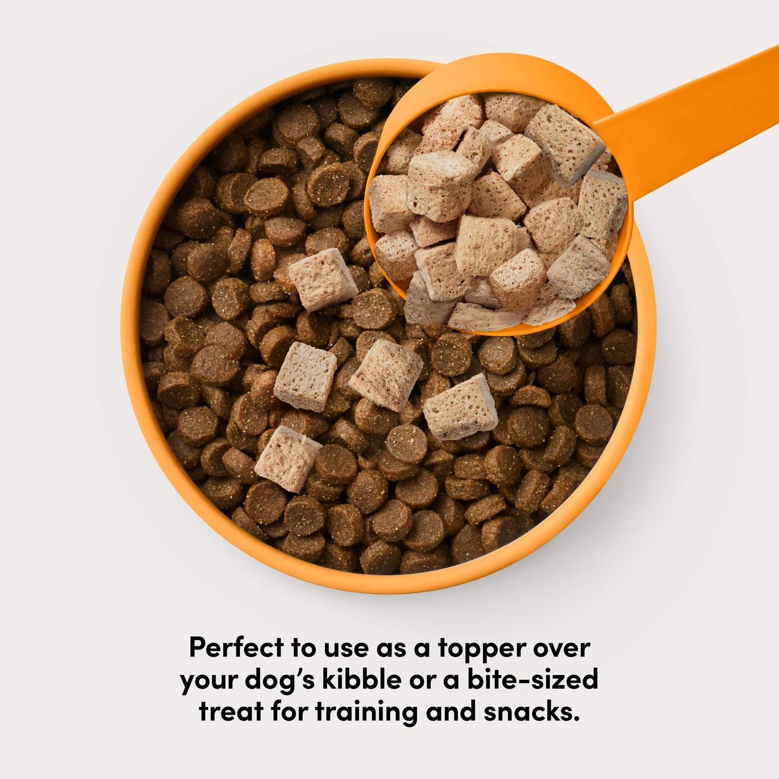 Orange bowl filled with round kibble and orange scoop holding square freeze-dried raw chicken topper pieces