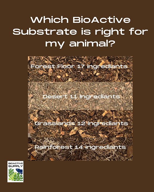 Bag of Premium Grassland Substrate for reptiles, 6 Qt