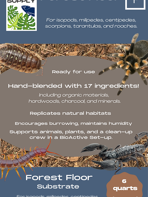 Bag of Bioactive Forest Floor Substrate for terrariums and vivariums.