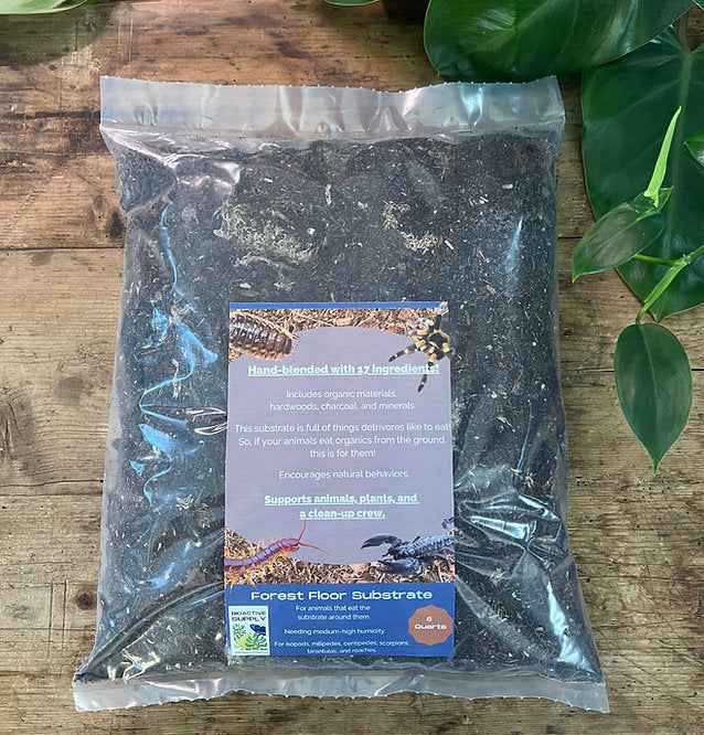 Bioactive Forest Floor Substrate 6 Qt