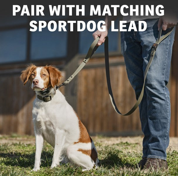 A dog wearing a SportDOG utility collar and matching lead being held by a person in jeans.