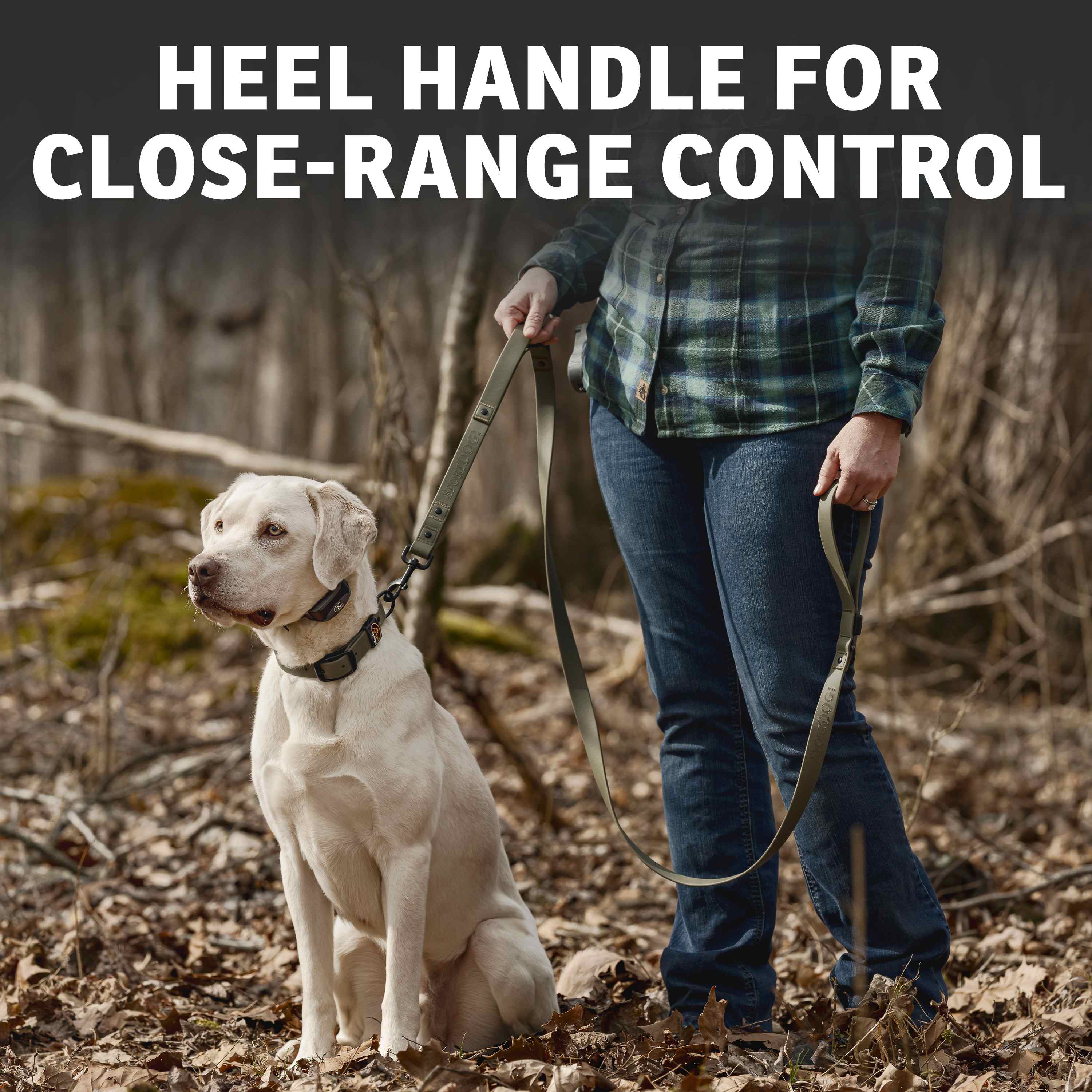 SportDOG Utility 6-Foot Lead in olive green featuring a heel handle for close-range control.