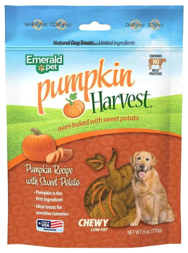 Emerald Pet Pumpkin Harvest oven baked chewy dog treats in a 6 oz bag with a pumpkin-shaped treat.