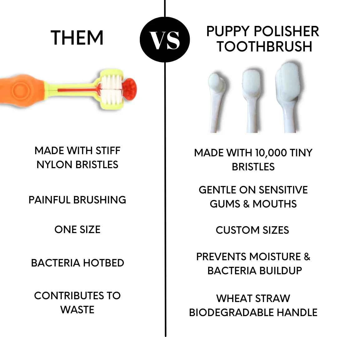 Wag & Bright Puppy Polisher Eco Toothbrush