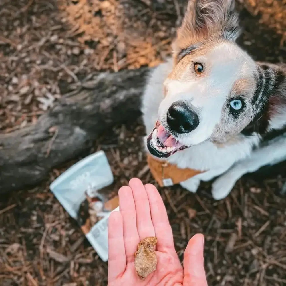 360 Pet Nutrition Beef Liver Grain - Free Raw Freeze - Dried Dog Treats 4oz - Talis Us