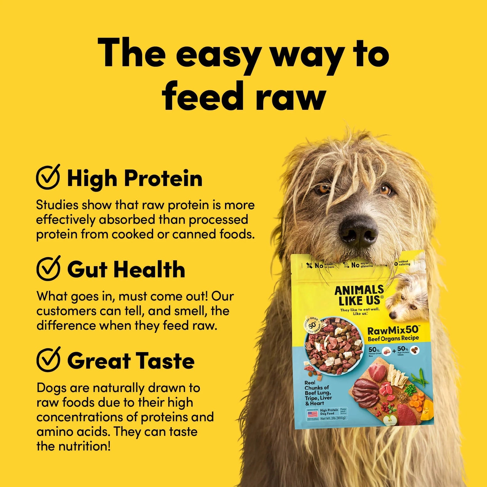Large dog holding a colorful package of high-protein freeze-dried raw beef organ dog food with feeding benefits text