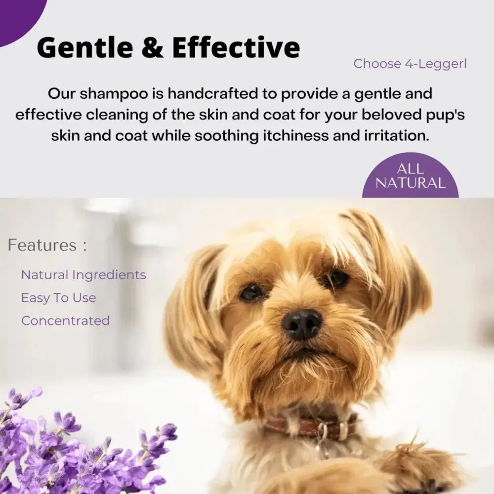 4 - Legger Calm Organic Lavender Natural Dog Shampoo with Calendula 16 oz - Talis Us