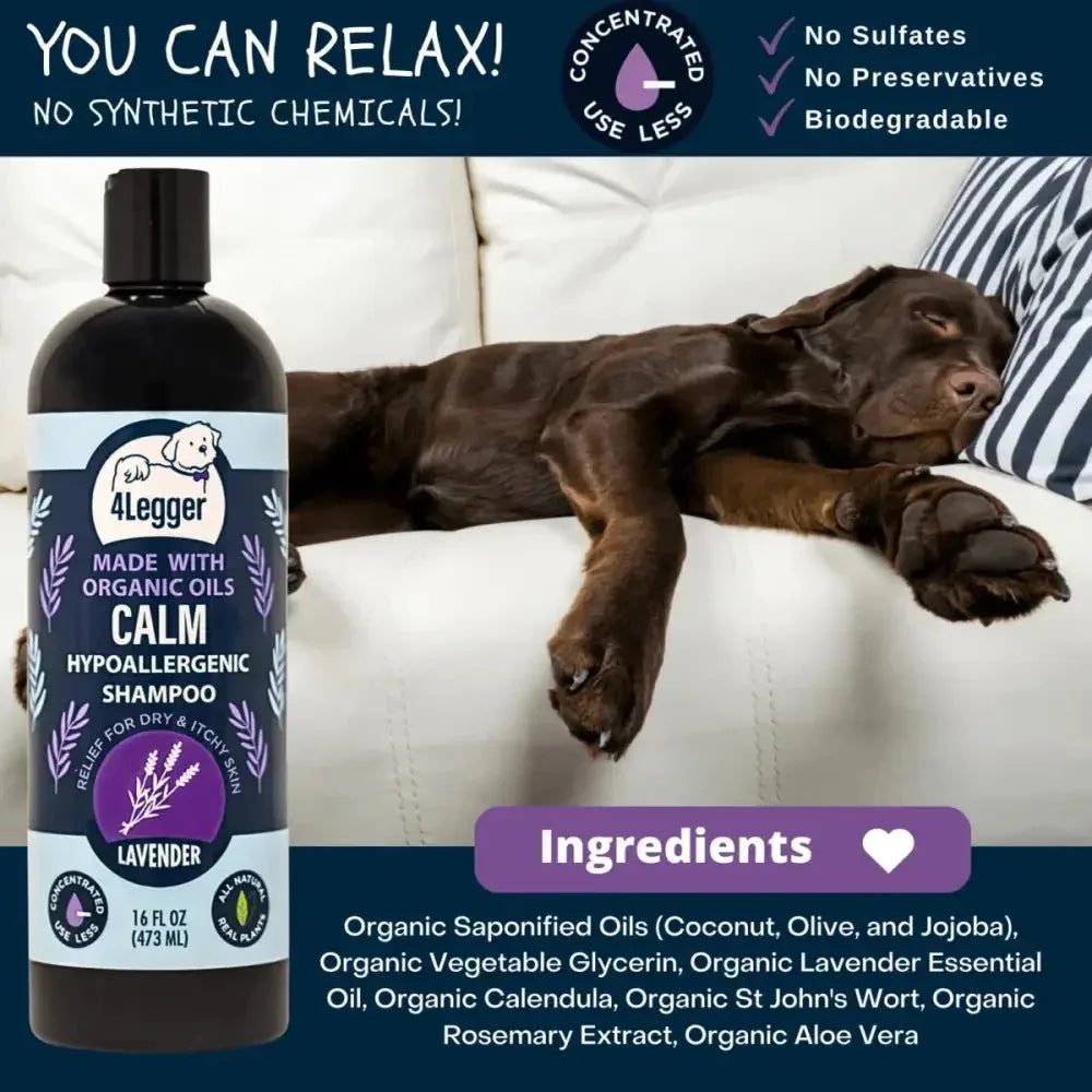 4 - Legger Calm Organic Lavender Natural Dog Shampoo with Calendula 16 oz - Talis Us