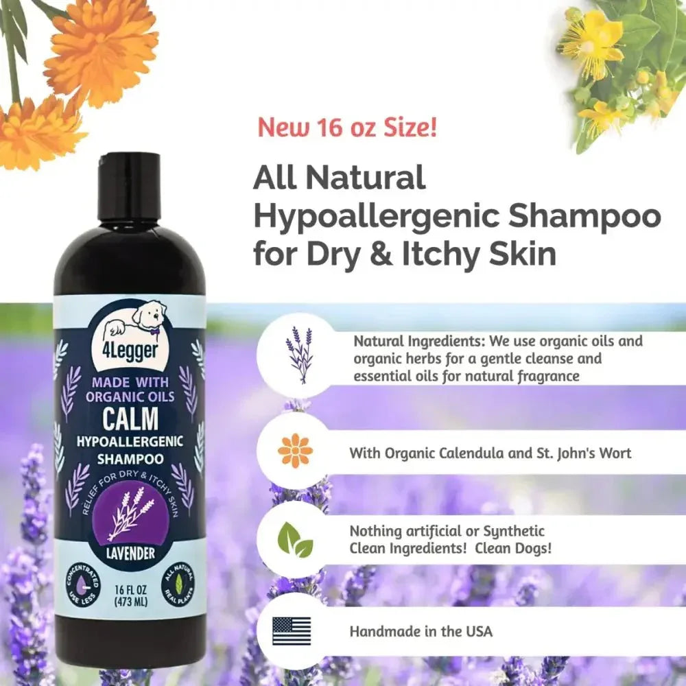 4 - Legger Calm Organic Lavender Natural Dog Shampoo with Calendula 16 oz - Talis Us