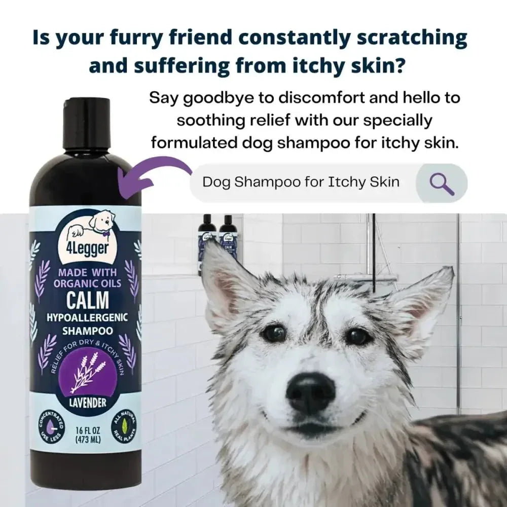 4 - Legger Calm Organic Lavender Natural Dog Shampoo with Calendula 16 oz - Talis Us