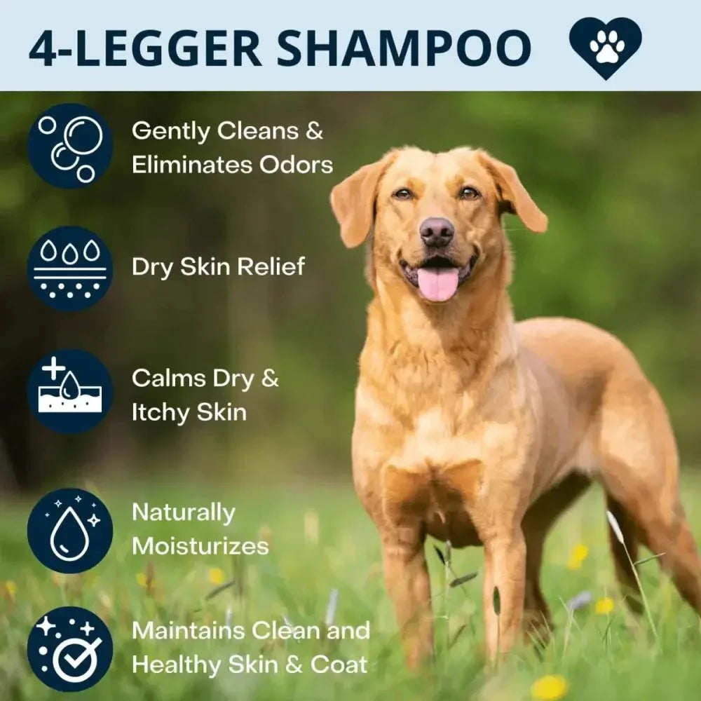 4 - Legger Calm Organic Lavender Natural Dog Shampoo with Calendula 16 oz - Talis Us
