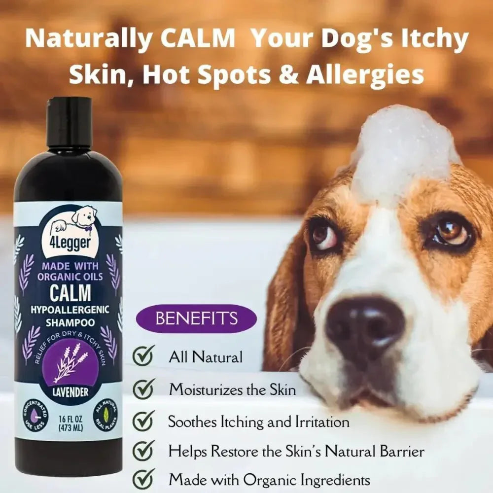 4 - Legger Calm Organic Lavender Natural Dog Shampoo with Calendula 16 oz - Talis Us