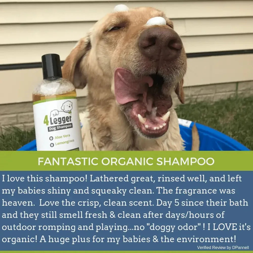 4 - Legger Lemongrass and Aloe Organic Hypoallergenic Dog Shampoo 16 oz - Talis Us