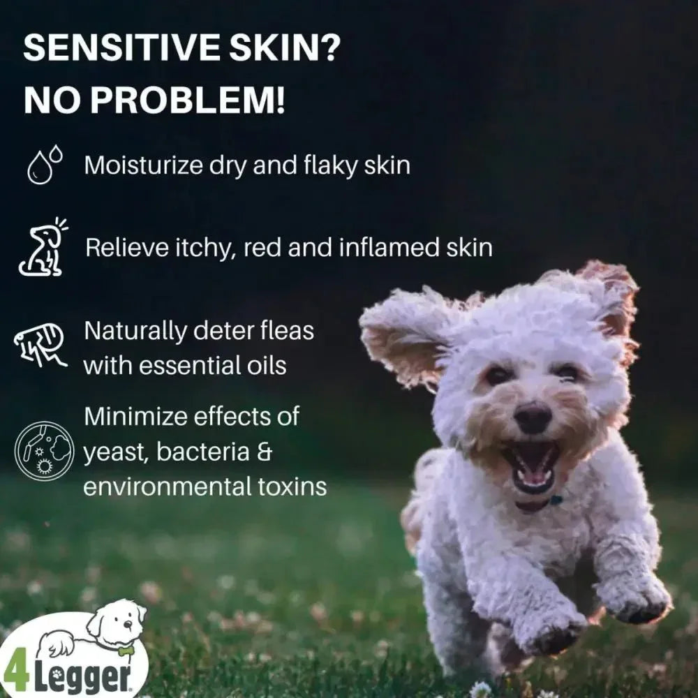 4 - Legger Lemongrass and Aloe Organic Hypoallergenic Dog Shampoo 16 oz - Talis Us