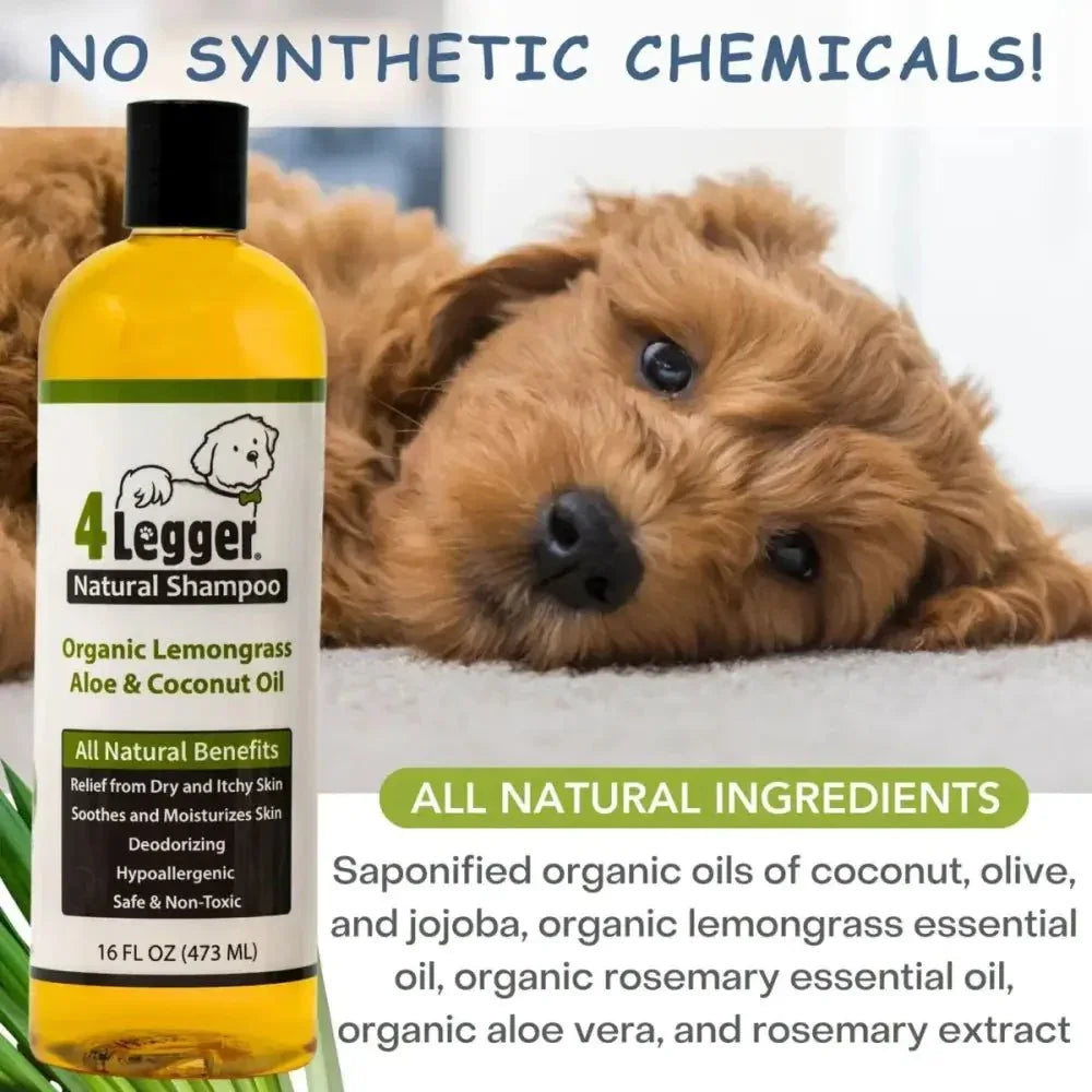 4 - Legger Lemongrass and Aloe Organic Hypoallergenic Dog Shampoo 16 oz - Talis Us