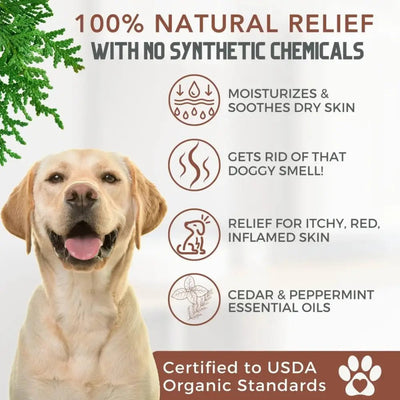 4 - Legger Natural Cedar Dog Shampoo and Conditioner with Peppermint & Eucalyptus 16 oz - Talis Us