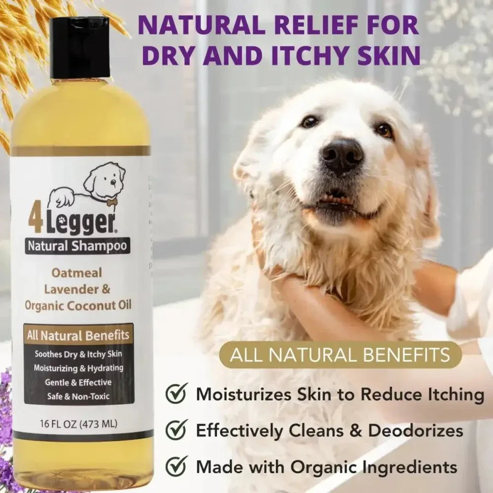 4 - Legger Organic Oatmeal Dog Shampoo with Lavender and Aloe 16 oz - Talis Us