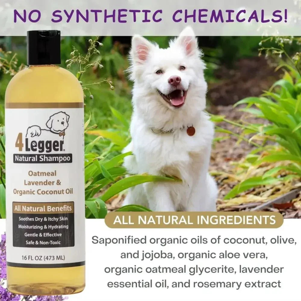 4 - Legger Organic Oatmeal Dog Shampoo with Lavender and Aloe 16 oz - Talis Us