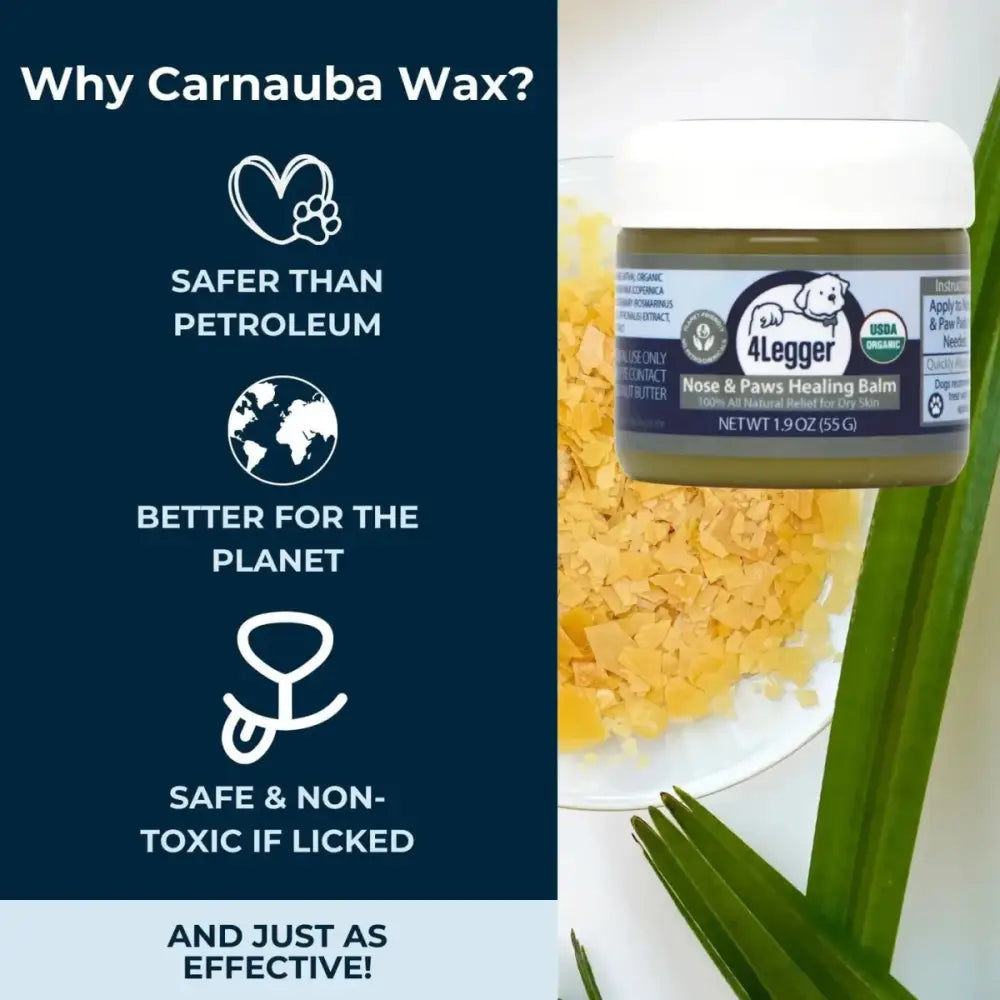 4 - Legger Usda Certified Organic Healing Balm For Dog Nose and Paw Pads 5 oz - Talis Us