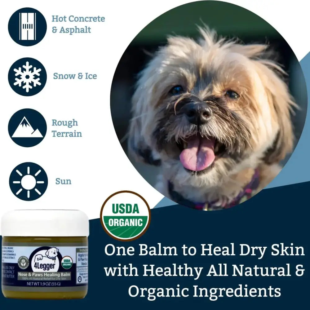 4 - Legger Usda Certified Organic Healing Balm For Dog Nose and Paw Pads 5 oz - Talis Us
