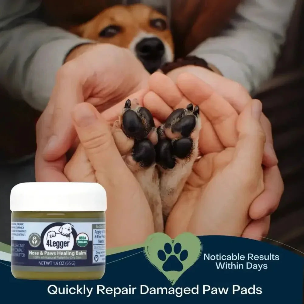 4 - Legger Usda Certified Organic Healing Balm For Dog Nose and Paw Pads 5 oz - Talis Us