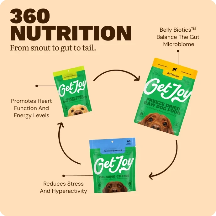 Get Joy Senior Essentials Bundle