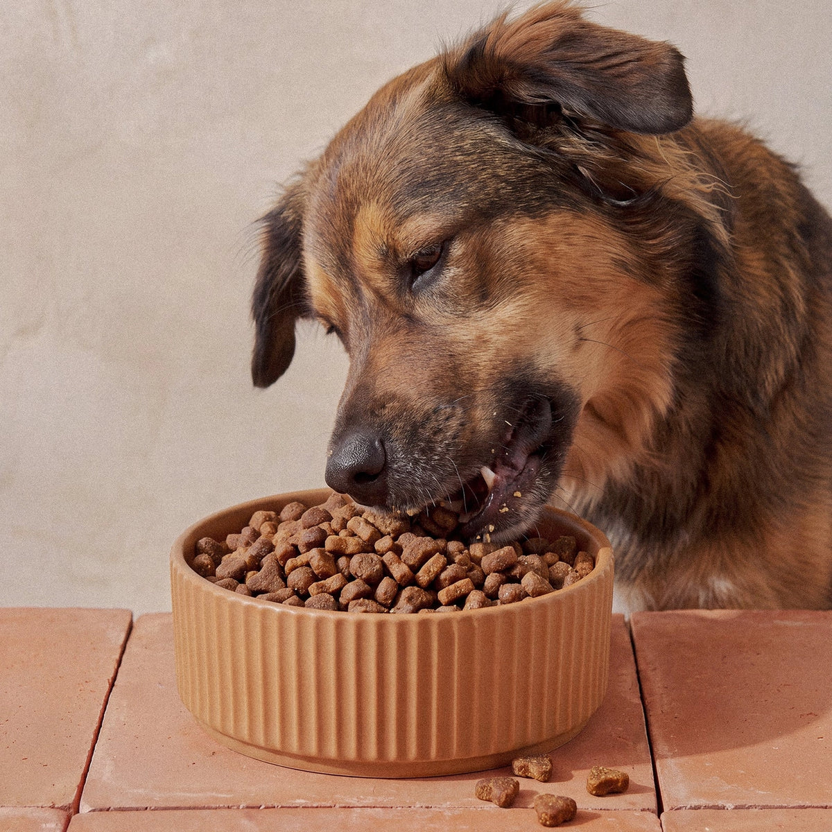 YumWoof Ancestral Blend Wild Caught Fish Air-Dried Dog Food