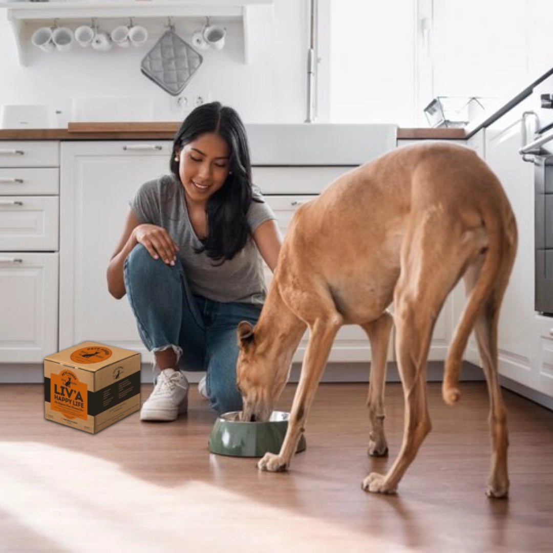 Granville Grain Free Dog Treats with Real Pork Liver - Healthy Crunchy Biscuits for Happy Pups