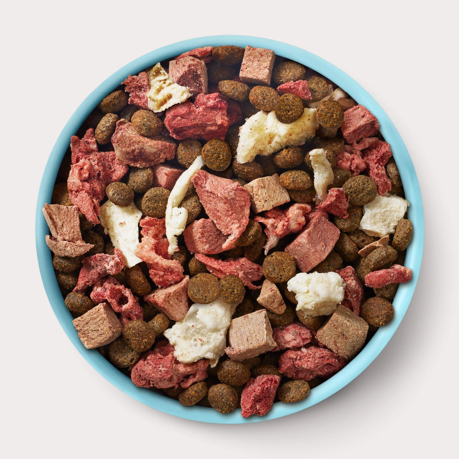Top view of a bowl with freeze-dried grass-fed beef chunks and high-protein kibble mix for dogs
