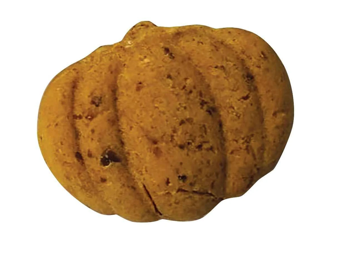 A single pumpkin-shaped, oven-baked dog treat with a textured, golden-brown surface.