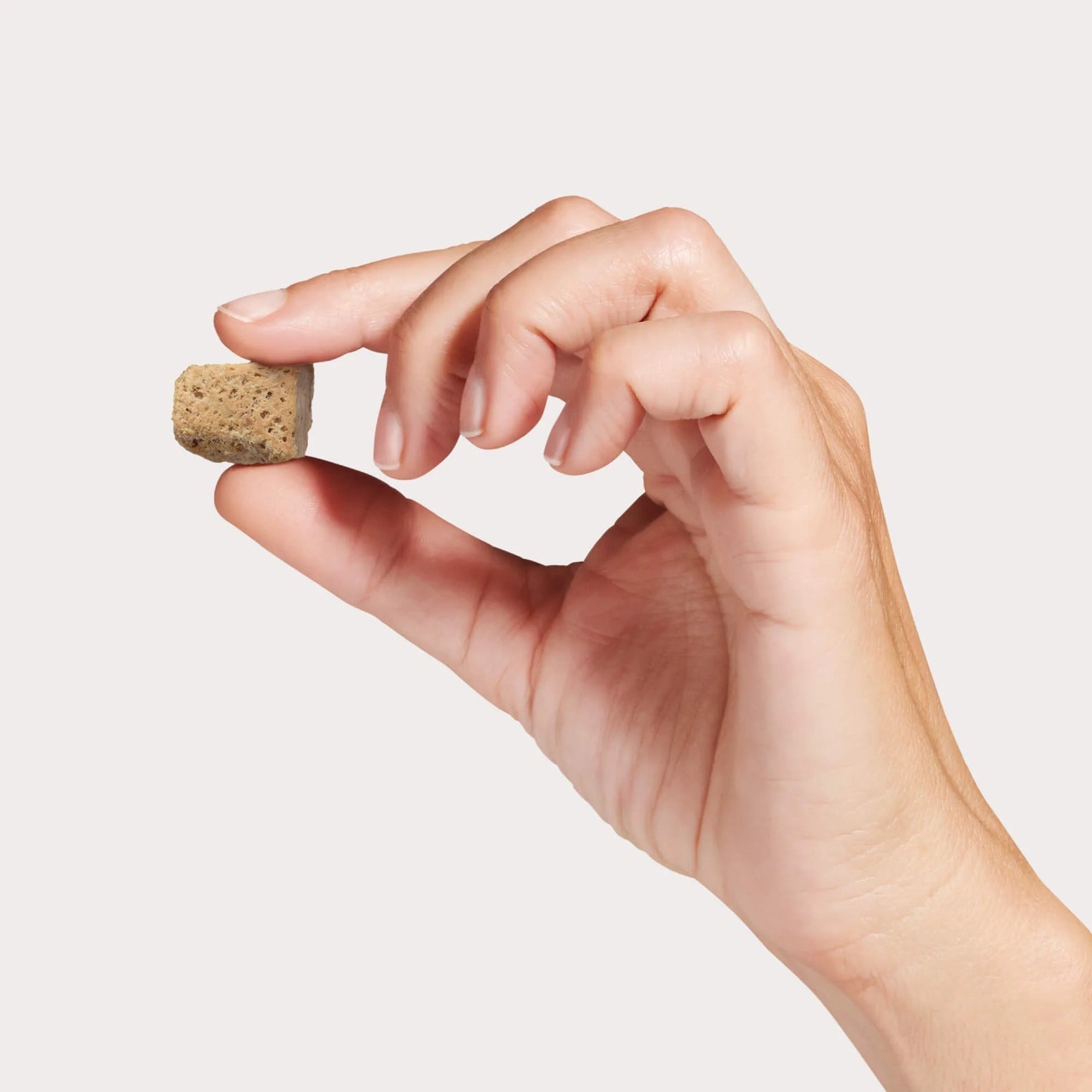 Hand holding a small cube of freeze-dried chicken dog food topper against a neutral background