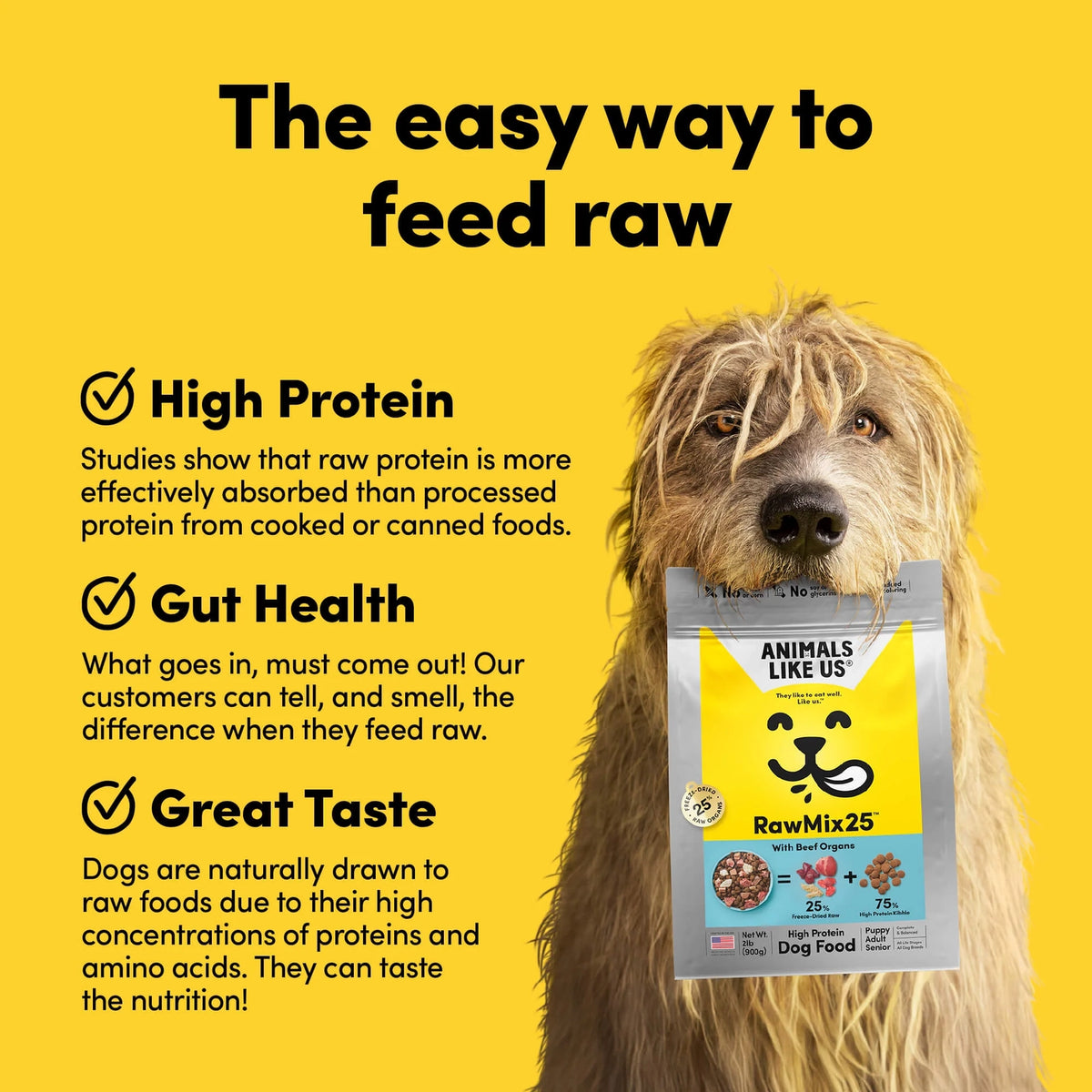 Dog holding a bag of freeze-dried beef organ raw food with text highlighting protein, gut health, and taste benefits