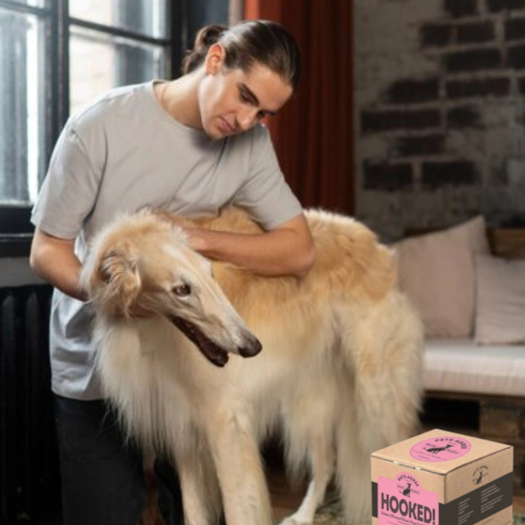 Grain Free Dog Treats - Granville Salmon Biscuit for Happy, Healthy Pets