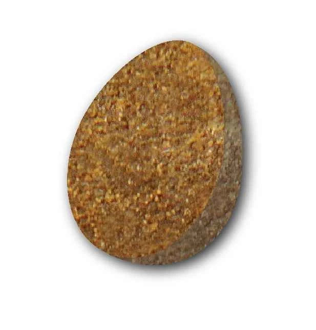 A single, small, brown, egg-shaped soft and chewy cat treat with a textured surface.
