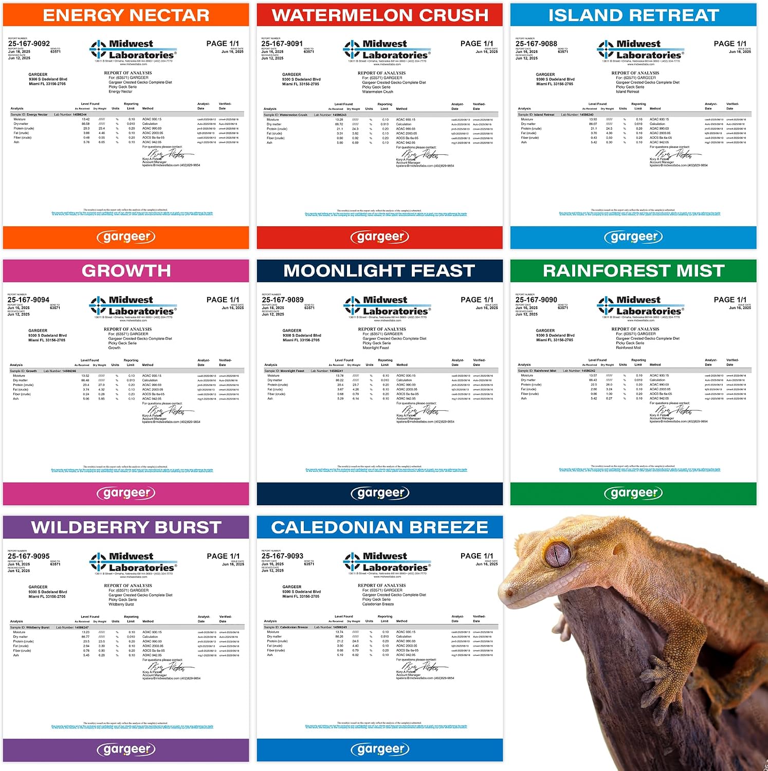 Gargeer Picky Geck Real Fruit & Insect Protein 8 Flavors Sachet Gecko Discovery Kit 2.4oz bag