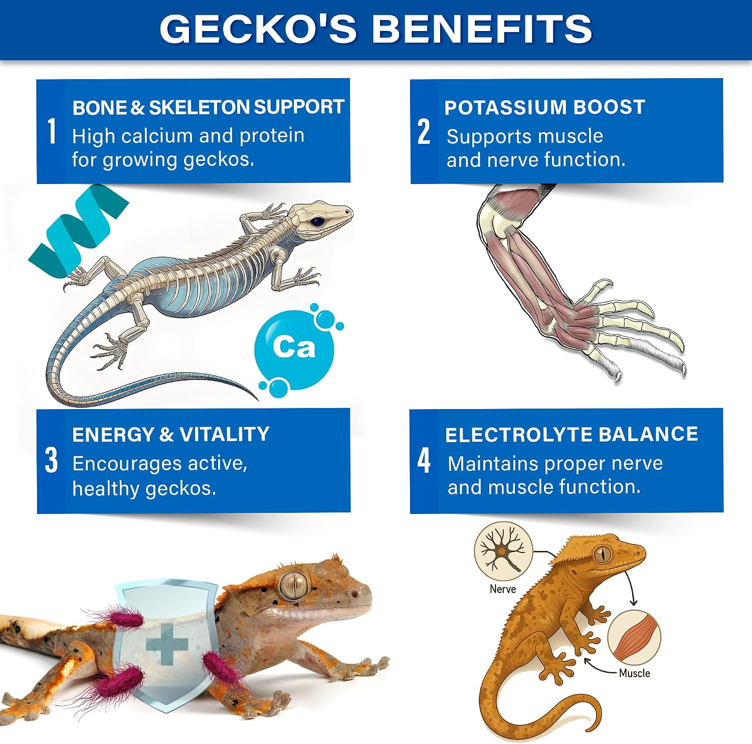 Gargeer Picky Geck Real Fruit & Insect Protein 8 Flavors Sachet Gecko Discovery Kit 2.4oz bag