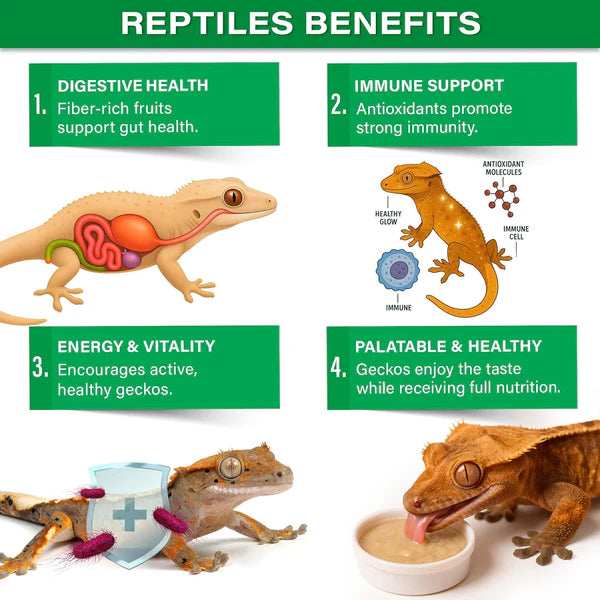 Gargeer Picky Geck Rainforest Mist - Premium Crested Gecko Food