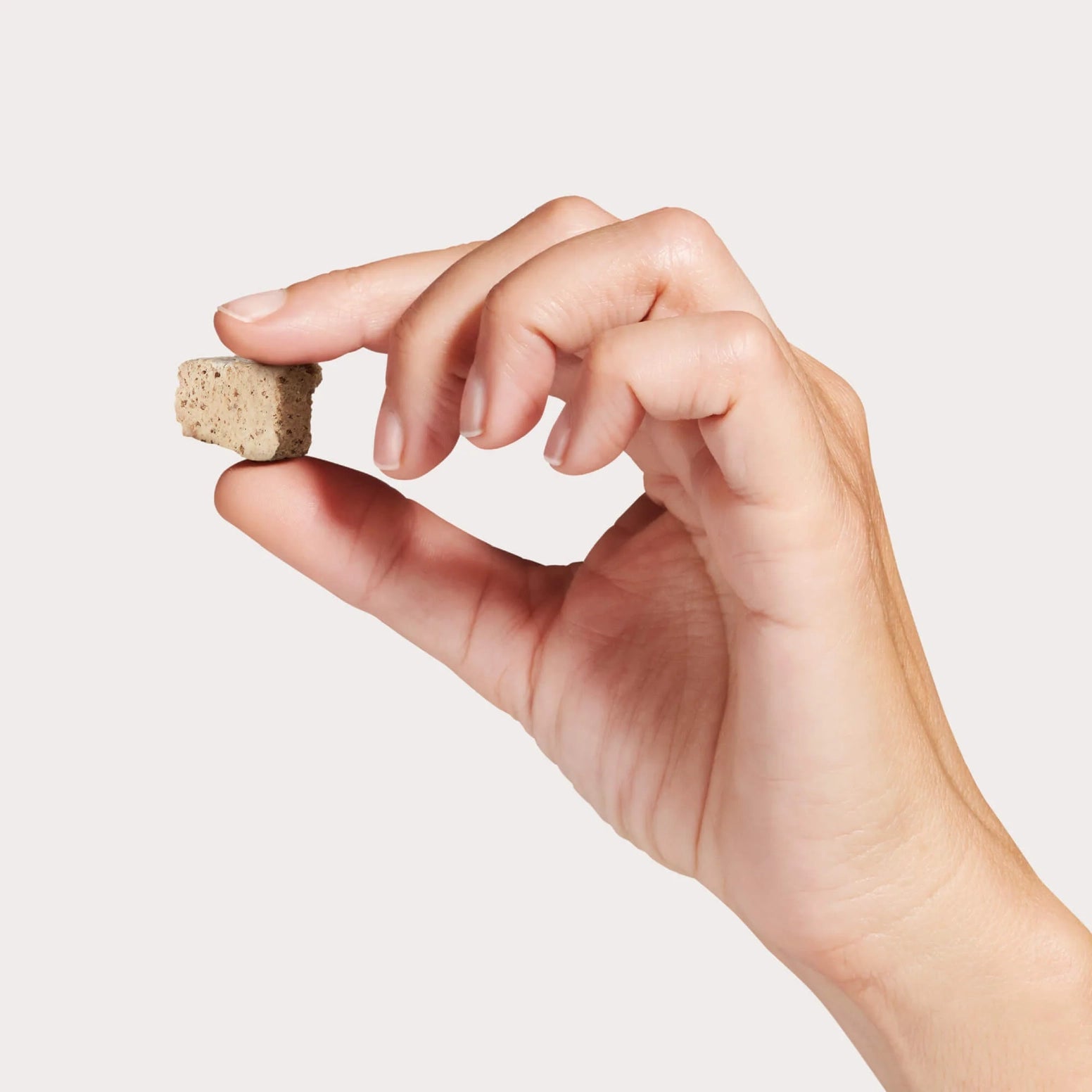 Hand holding a small cube of freeze-dried raw beef dog food topper against a plain background