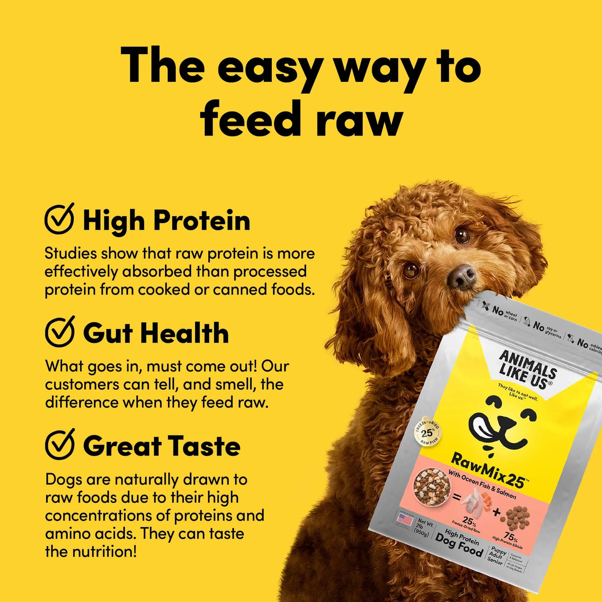 Curly brown dog holding a bag of natural freeze-dried raw dog food emphasizing protein, gut health, and taste benefits