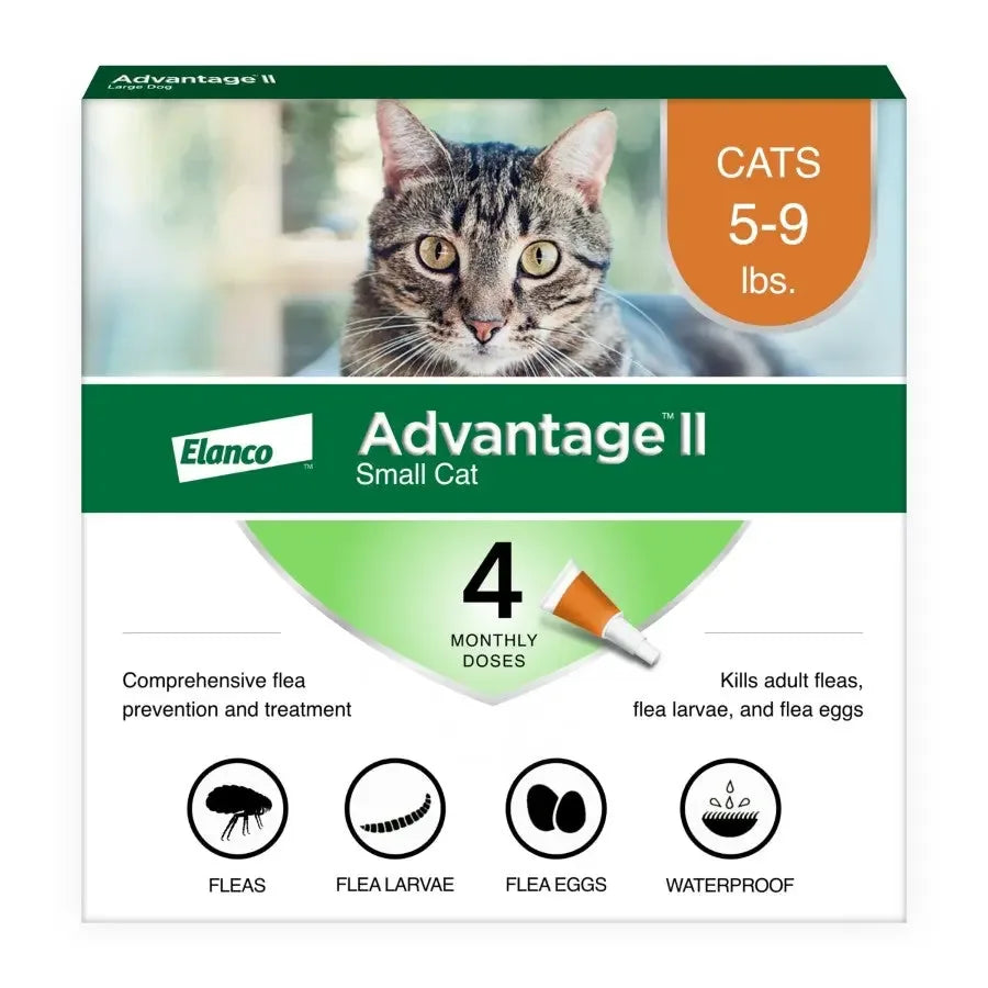 Advantage II flea treatment for small cats with four monthly doses to eliminate fleas and larvae