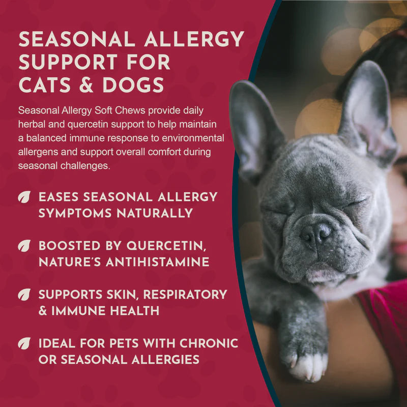 Infographic for Seasonal Allergy Soft Chews for cats and dogs featuring a sleeping French Bulldog.