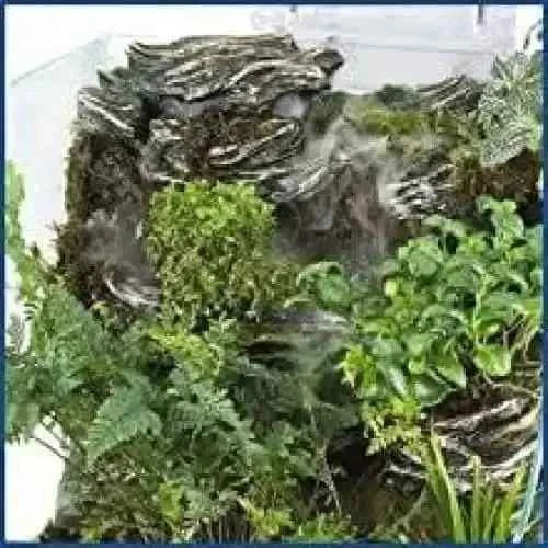 Aquarium Planting Tank-2.65Gal