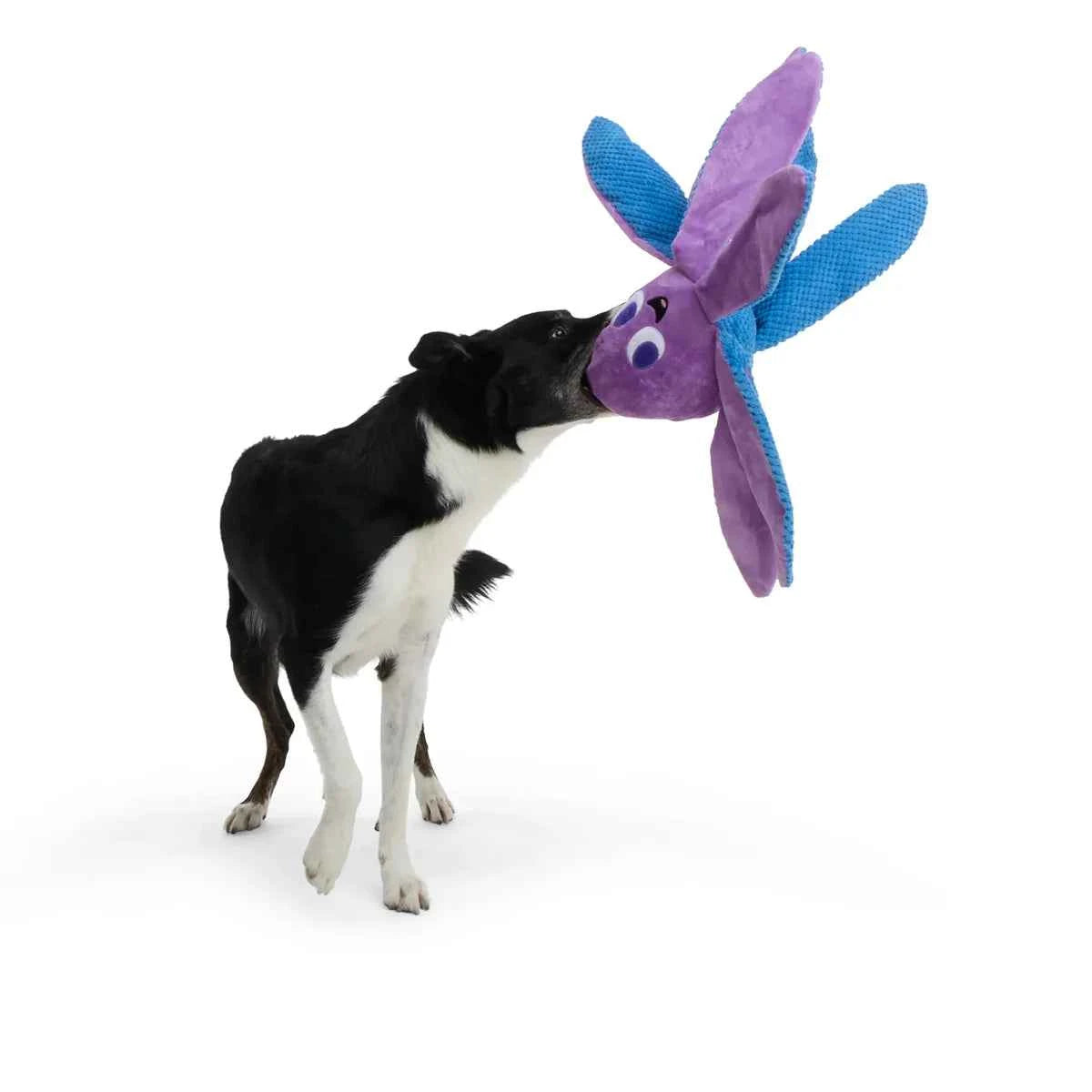 BARK Mondo Ollie the Octopus Plush Dog Toy