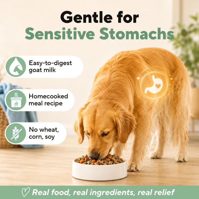 Dave's Homestyle Meal Beef & Chicken with Brown Rice, Goat Milk Gently Cooked Dog Food 10 Pack - 9 oz Pouches