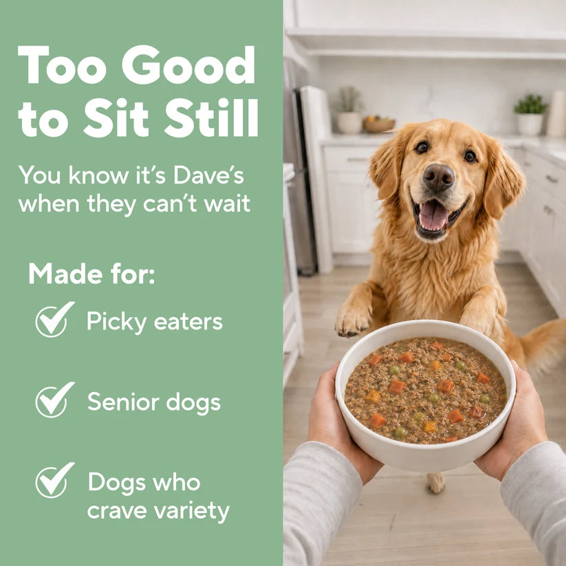 Dave's Homestyle Meal Beef & Chicken with Brown Rice, Goat Milk Gently Cooked Dog Food 10 Pack - 9 oz Pouches