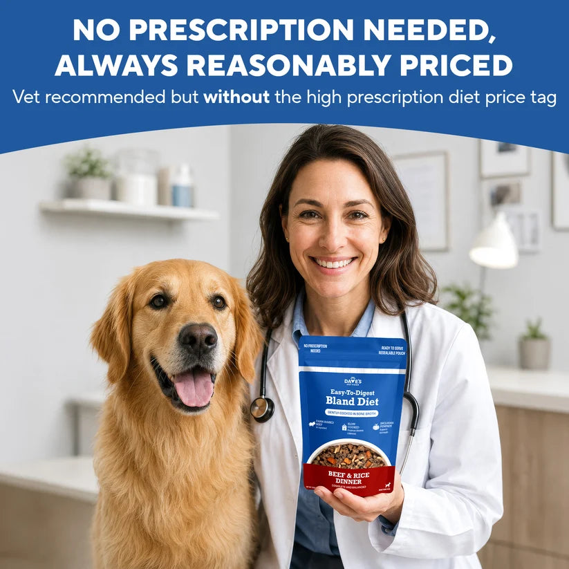 Dave's Bland Diet Beef & Rice Gently Cooked Dog Food 10 Pack - 9 oz Pouches