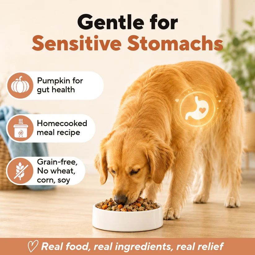 Dave's Homestyle Meal Chicken & Brown Rice, Goat Milk Gently Cooked Dog Food 10 Pack - 9 oz Pouches