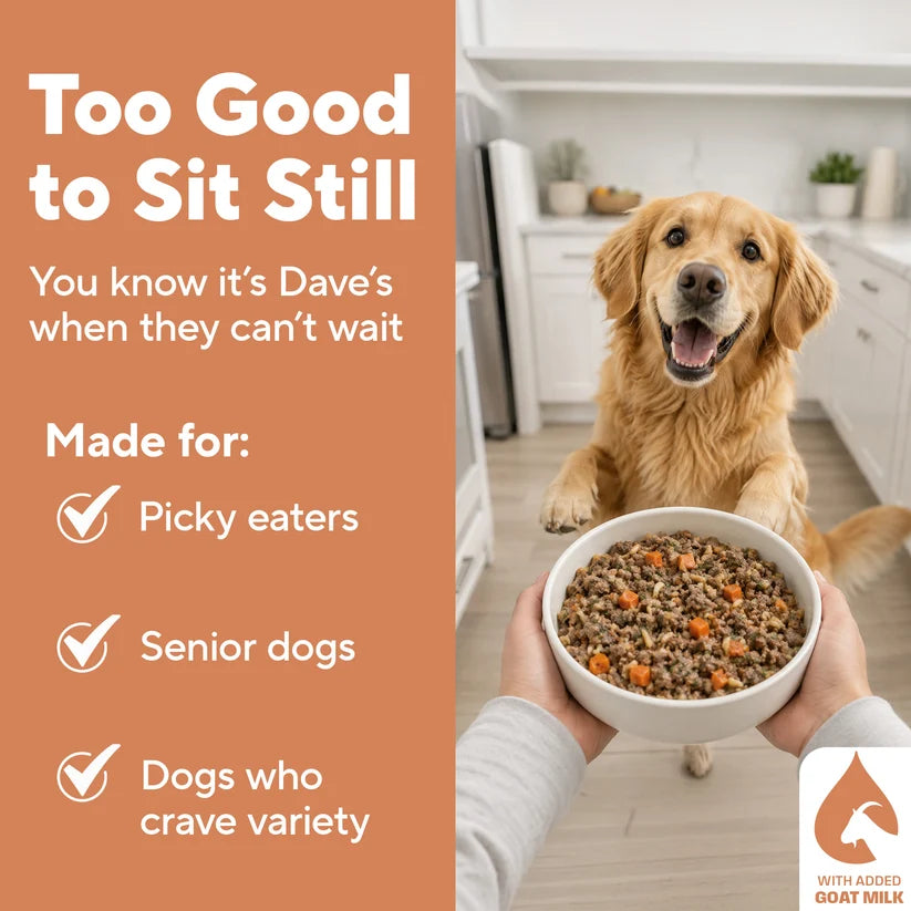 Dave's Homestyle Meal Chicken & Brown Rice, Goat Milk Gently Cooked Dog Food 10 Pack - 9 oz Pouches